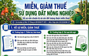 MIỄN, GIẢM THUẾ SỬ DỤNG ĐẤT NÔNG NGHIỆP - HỒ SƠ CẦN CHUẨN BỊ VÀ CÁC ĐỐI TƯỢNG ĐƯỢC MIỄN THUẾ