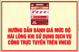 ĐÁNH GIÁ MỨC ĐỘ HÀI LÒNG KHI SỬ DỤNG DỊCH VỤ CÔNG TRỰC TUYẾN TRÊN VNEID (HƯỚNG DẪN)