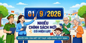 Bài viết 102 1 1