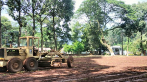 THUẬN LỢI: TỔ CHỨC CHỈNH TRANG DI TÍCH, CÔNG VIÊN, XÂY DỰNG CẢNH QUAN XANH – SẠCH – ĐẸP HƯỚNG TỚI TUẦN LỄ “PHÚ RIỀNG ĐỎ” NĂM 2026