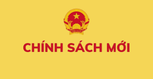 Văn bản chính sách mới