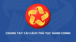 CT CCTTHC