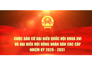 Một số quy định nguyên tắc, trình tự bỏ phiếu bầu cử đại biểu Quốc hội và HĐND các cấp