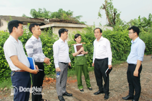 Lãnh đạo UBND phường Trấn Biên kiểm tra công tác giải phóng mặt bằng tại Khu công nghiệp Biên Hòa 1, chiều ngày 16-7. Ảnh: Biên Hùng
