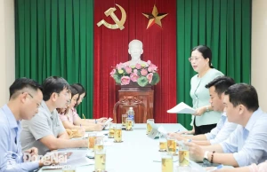 Tỉnh ủy viên, Giám đốc Sở Văn hóa, Thể thao và Du lịch tỉnh Đồng Nai Lê Thị Ngọc Loan chủ trì buổi làm việc về các hoạt động mừng các ngày lễ lớn. Ảnh: Đặng Hùng