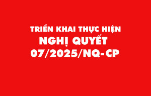 Triển khai thực hiện Nghị quyết số 07/2025/NQ-CP ngày 17/9/2025 của Chính phủ