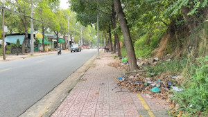 Tuyến đường Nguyễn Du