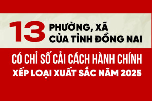 [Infographic] Các xã, phường nào của tỉnh Đồng Nai có Chỉ số cải cách hành chính xếp loại xuất sắc năm 2025?