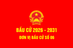 Bầu Cử 2026 06