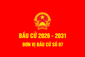 Bầu Cử 2026 07