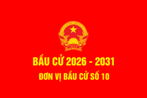 Bầu Cử 2026 10