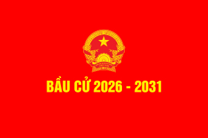 Báo cáo nhanh của Ủy ban Bầu cử tỉnh Đồng Nai về tình hình triển khai công tác bầu cử đại biểu Quốc hội khóa XVI và đại biểu HĐND các cấp nhiệm kỳ 2026-2031