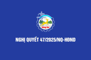 Nghị Quyết Tỉnh Đồng Nai