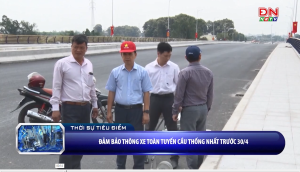 Đảm bảo thông xe toàn tuyến cầu Thống Nhất trước 30-4