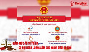 Giảm mức án tù tối đa - Cơ hội hoàn lương sớm cho người dưới 18 tuổi