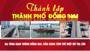 Hạ tầng giao thông Đồng Nai Sẵn sàng tâm thế một đô thị lớn