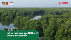 Tháng Bảy tri ân: Rừng Sác – Nơi an nghỉ của hơn 500 liệt sĩ chưa được tìm thấy