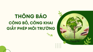 ẢNH BÌA WEB