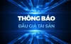 thông báo đấu giá