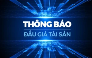 thông báo đấu giá