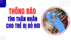 ẢNH BÌA WEB