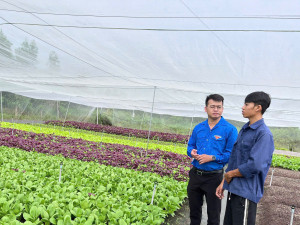 Đoàn Thanh niên xã Trảng Bom thăm 02 mô hình thanh niên khởi nghiệp tại địa phương