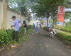 Picture3