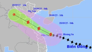 Chỉ đạo của UBND tỉnh Đồng Nai về việc theo dõi, chủ động phương án ứng phó bão BUALOI gần Biển Đông