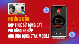 ẢNH BÌA WEB (16)
