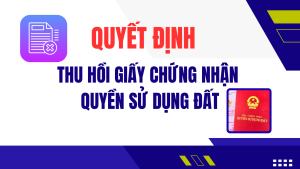 ẢNH BÌA WEB (17)