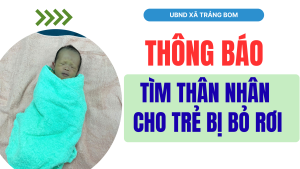 ẢNH BÌA WEB (18)