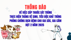 ẢNH BÌA WEB (9)