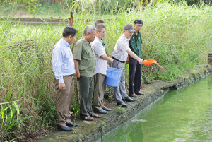 Lãnh đạo xã Trảng Bom thăm các mô hình sản xuất hiệu quả