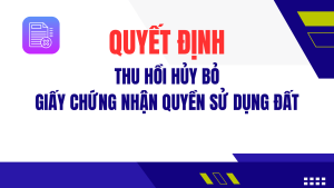 ẢNH BÌA WEB (14)
