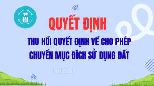 ẢNH BÌA WEB (19)