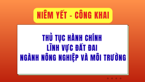 ẢNH BÌA WEB (34)