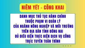 ẢNH BÌA WEB (36)
