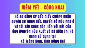 ẢNH BÌA WEB (46)
