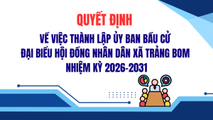 ẢNH BÌA WEB (50)
