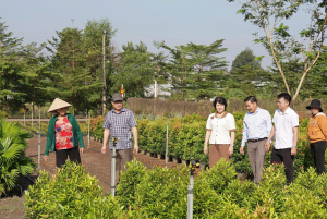 Lãnh đạo xã Trảng Bom thăm các mô hình sản xuất hiệu quả