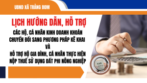 ẢNH BÌA WEB (57)
