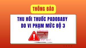 ẢNH BÌA WEB (59)