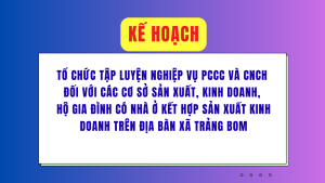 ẢNH BÌA WEB (62)
