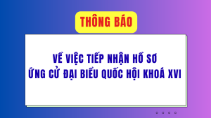 ẢNH BÌA WEB (63)