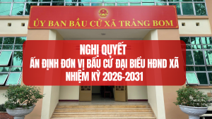 ẢNH BÌA WEB (72)