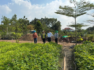 Ban Điều hành Quỹ hỗ trợ nông dân tỉnh Đồng Nai thẩm định dự án “Vườn ươm cây giống” tại xã Trảng Bom