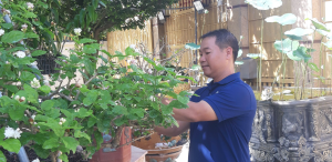 Nông dân sản xuất kinh doanh giỏi Đỗ Ngọc Tuyển và tình yêu Hoa nhài – thương mến người khó khăn