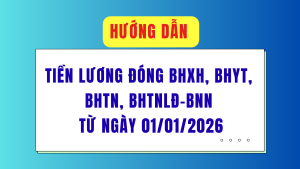 ẢNH BÌA WEB (84)