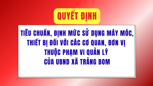 ẢNH BÌA WEB (87)