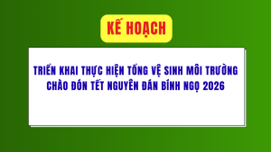 ẢNH BÌA WEB (88)